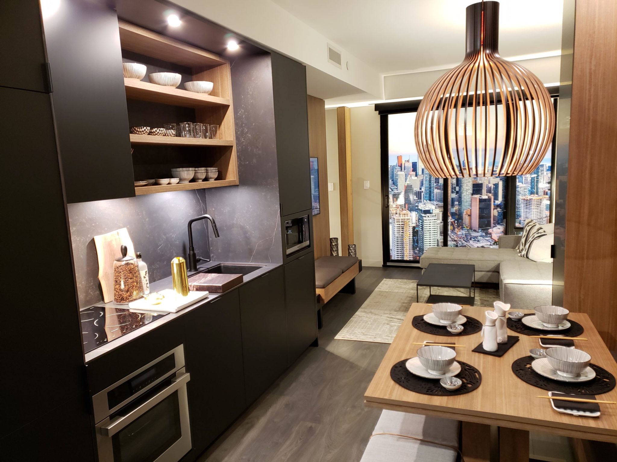 Brand New Preconstruction 55C Residences Condominiums Near Charles Street East