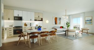 Thornhill Walk Kitchen and Livingroom Livabl